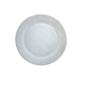 Plato-carton_grande