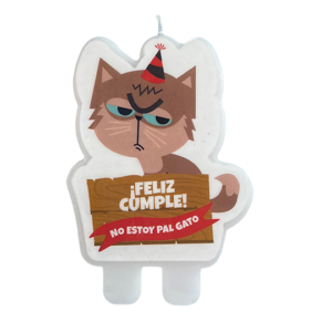 no-estoy-pal-gato